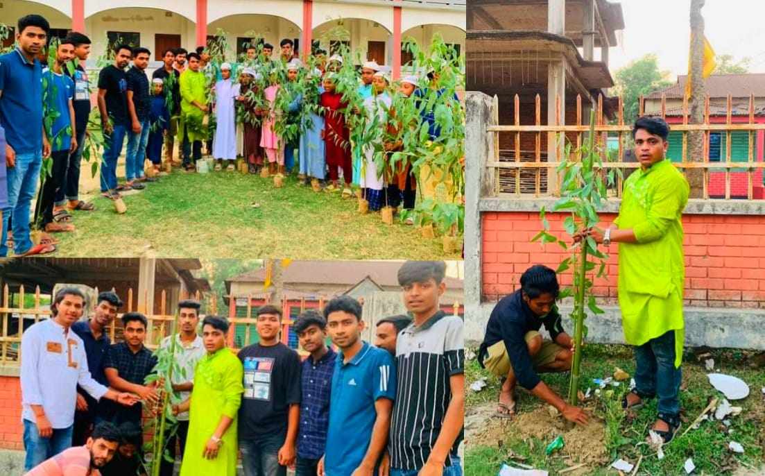 ছাত্রলীগের সভাপতি পদপ্রার্থী সাদিকের উদ্যোগে বৃক্ষরোপন