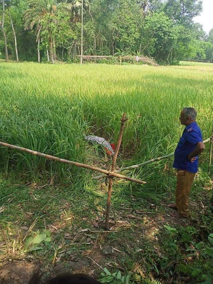 ভালুকায় ধান ক্ষেত থেকে গৃহবধূর গলাকাটা লাশ উদ্ধার