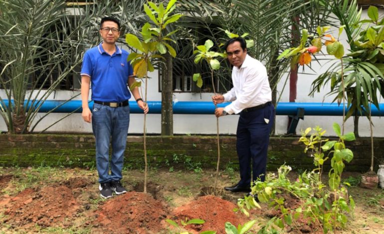 পরিবেশ দিবস উপলক্ষে তিন হাজার বৃক্ষরোপণ করলো শেফার্ড গ্রুপ